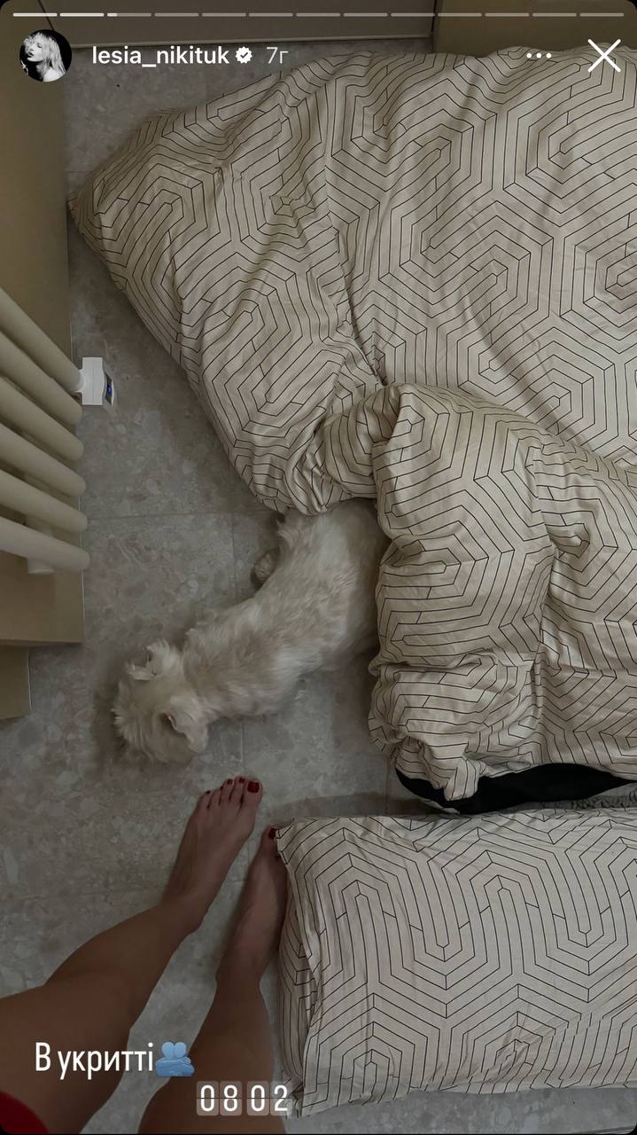 Никитюк пряталась в ванной, а Клопотенко показал средний палец РФ: звезды о ракетной атаке по Украине